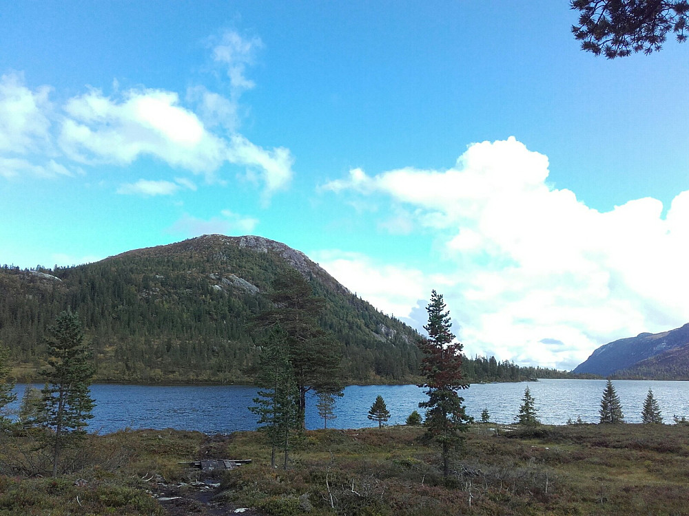 Rognlifjell