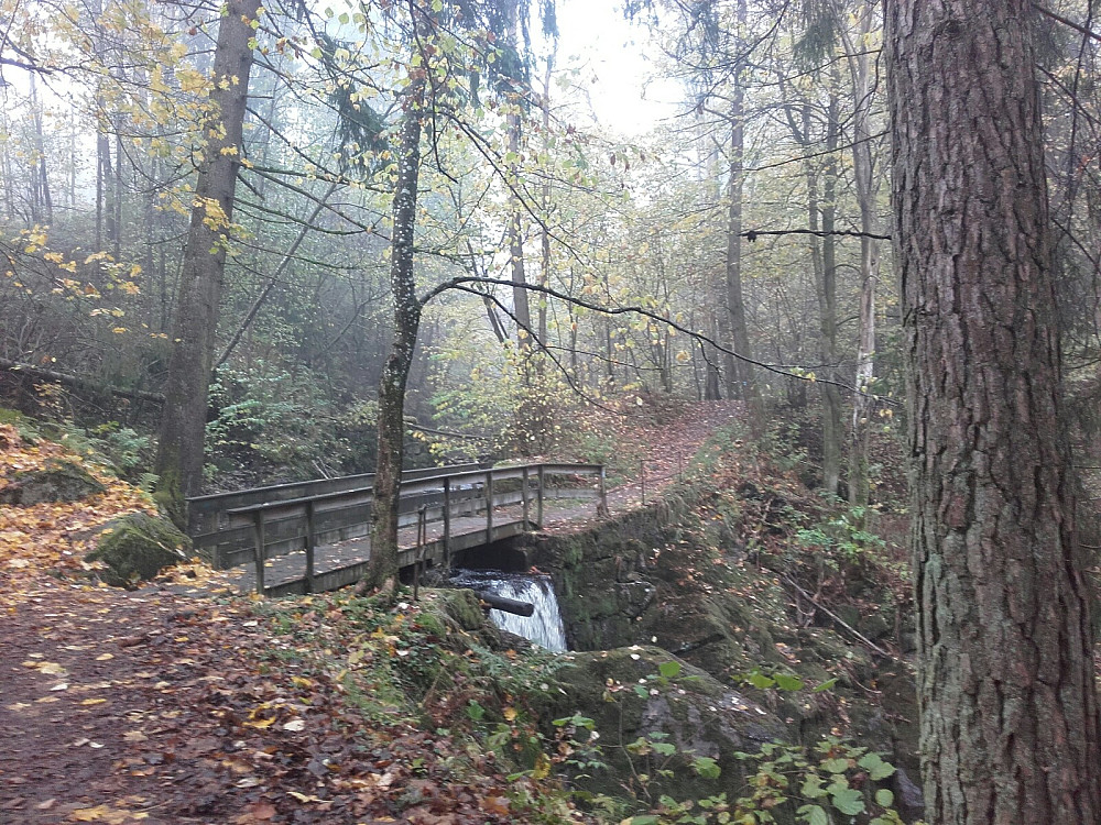 Brua nedenfor dammen