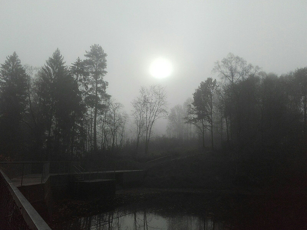 Kverndammen
