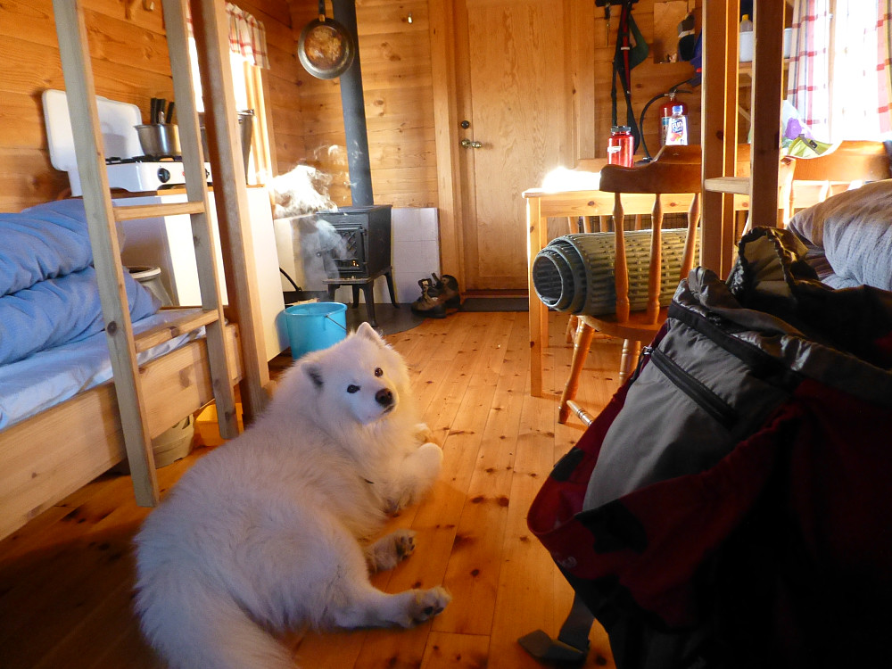 Inne i annekset på Selsli. Her er alt vi trenger for en natt. Anjing likte det kalde golvet. 
