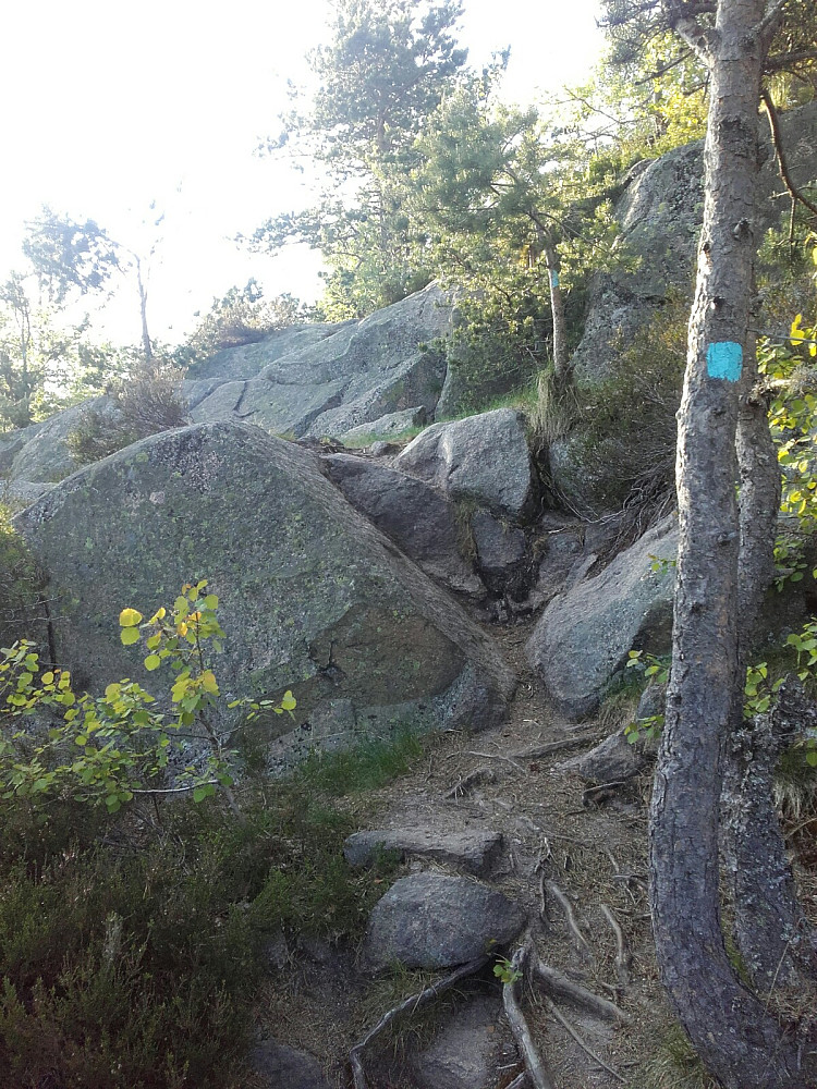 Bratt til tider