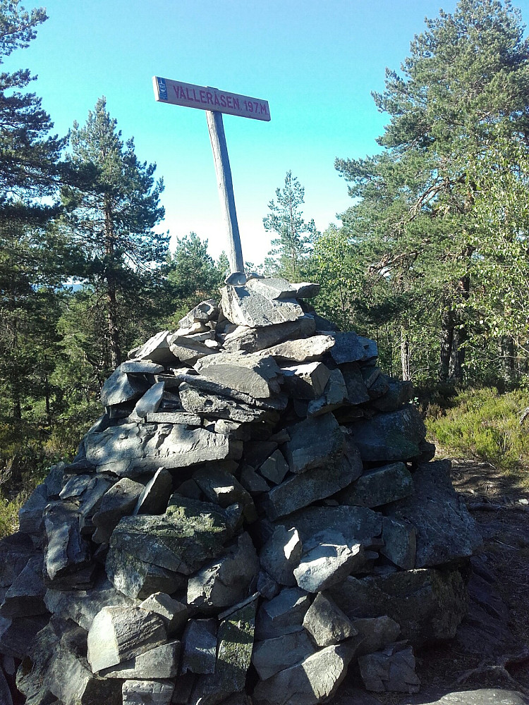 Toppvarden