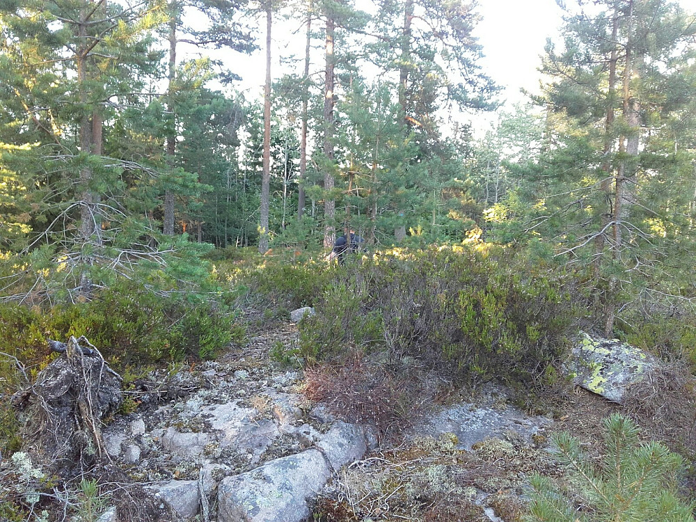 Høyeste på Fiskebekkåsen vest