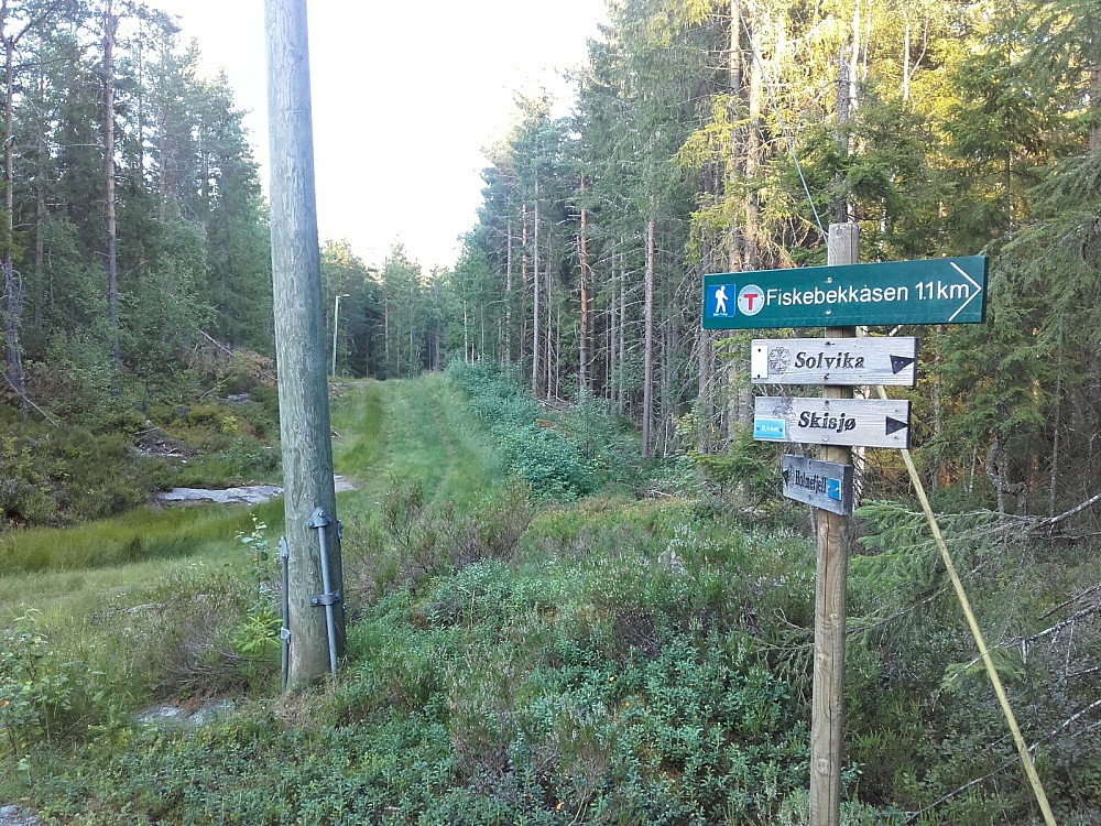 Lysløypa