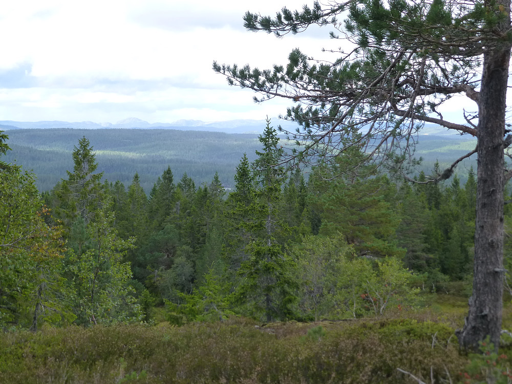 Utsikt mot Skrim