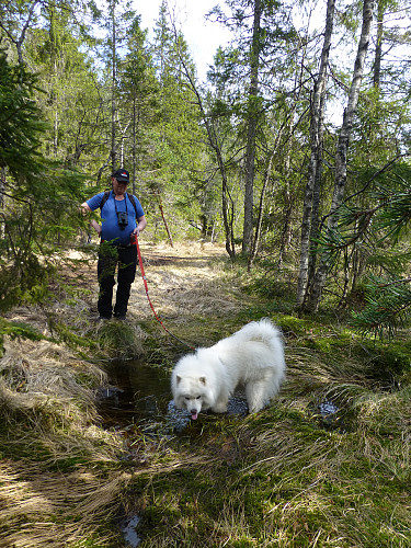 En liten drikkepause på tur ned igjen