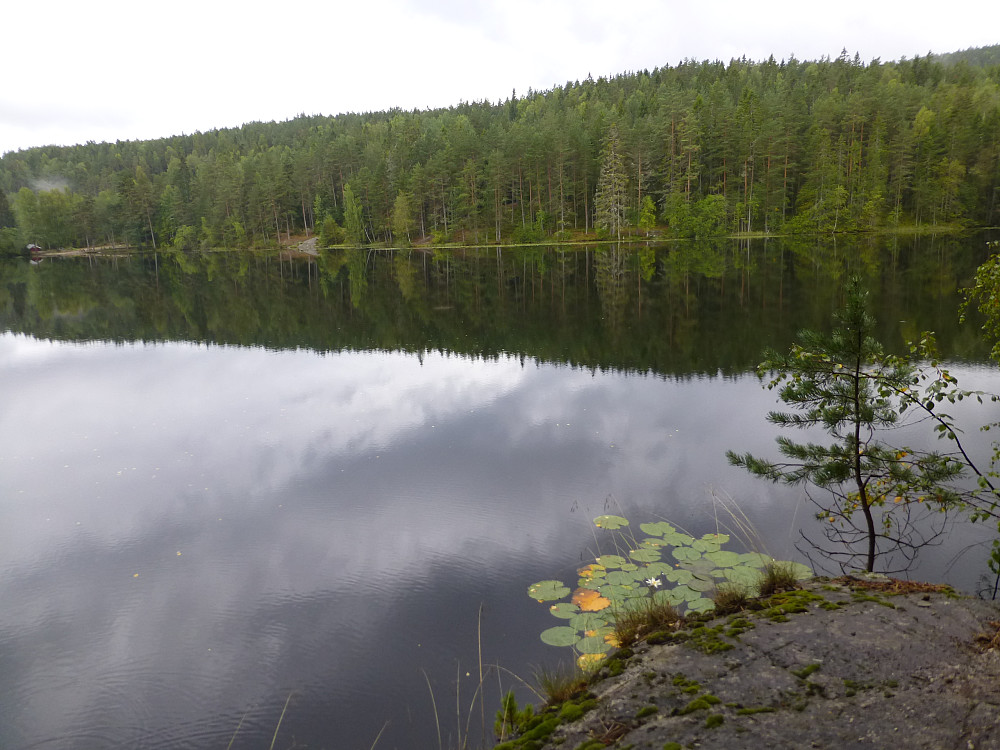 Åletjern