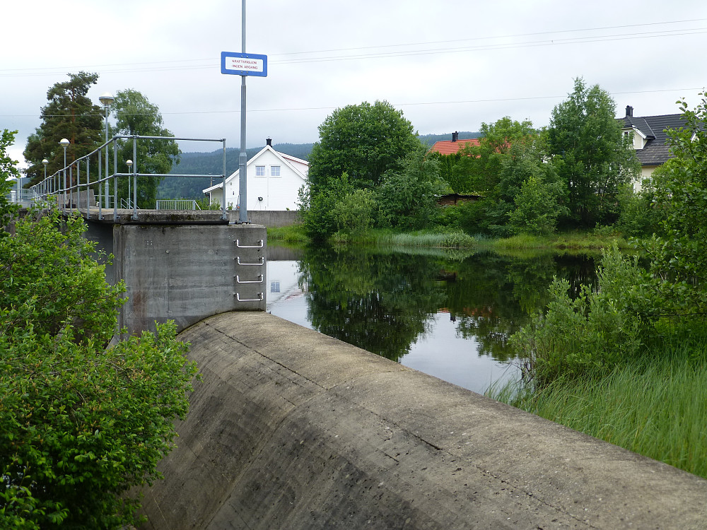 Dammen