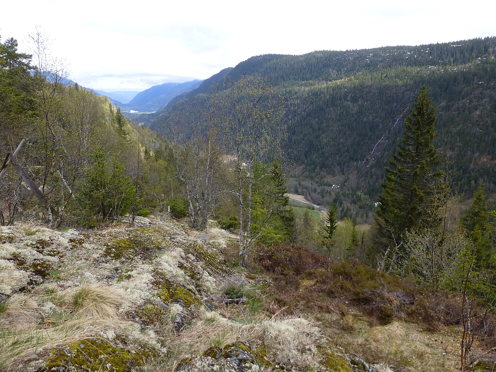 Ambjørndalen