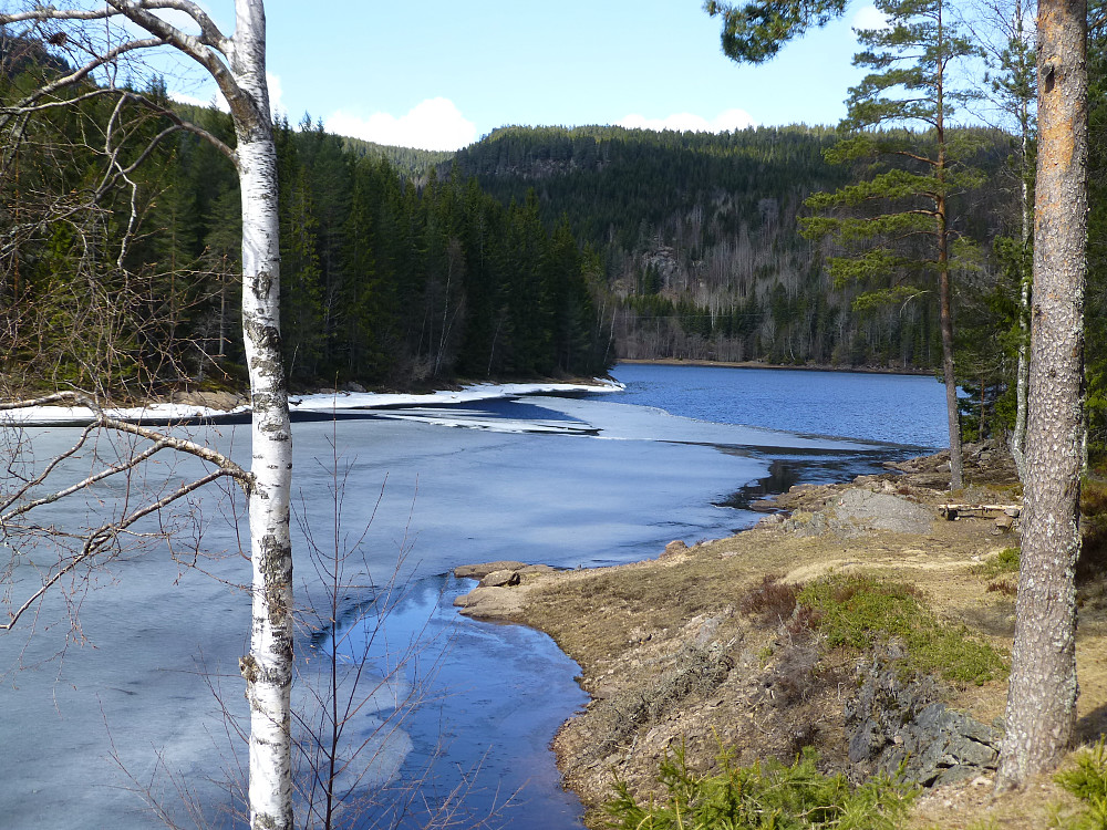 Vanebuvann