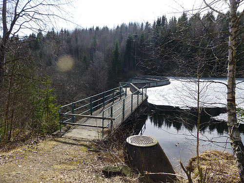 Dammen Ørnstjern