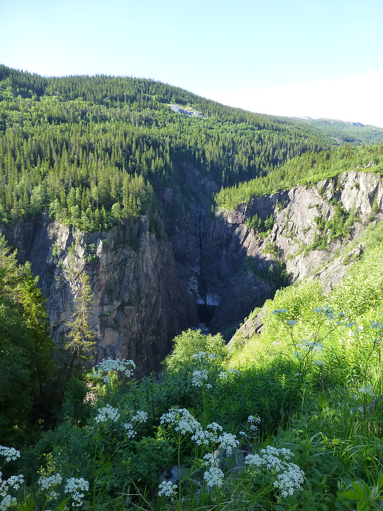 Rjukanfoss juvet