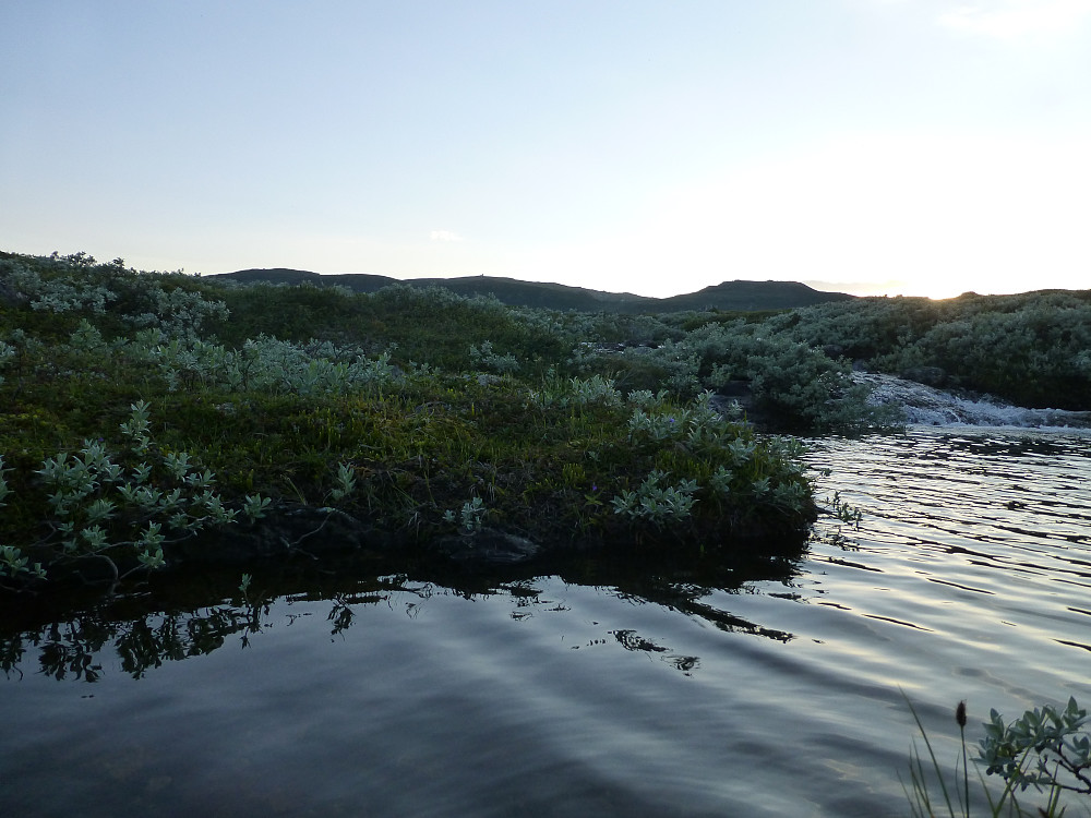 Fjellvåk