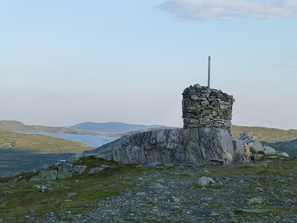 Velkomskomiteen