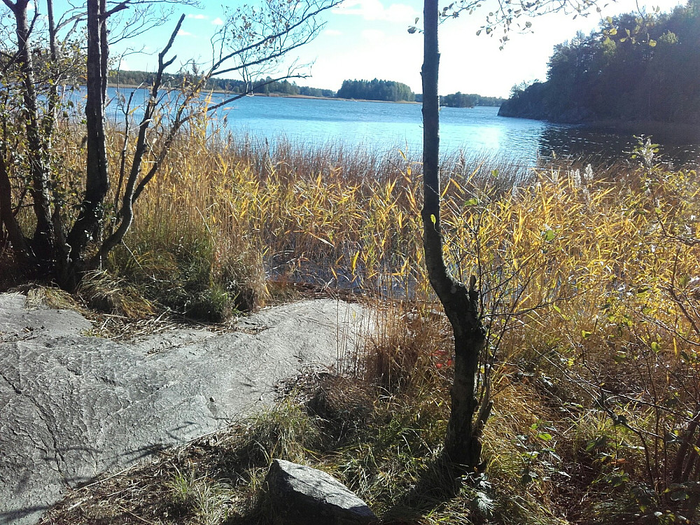 Første møte med Årvollfjorden. Det satt noen storskarv ute på noen av svaene i innsjøen.