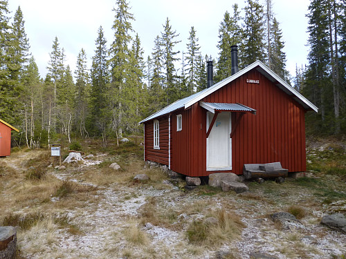 Lunnaas før snøen kommer