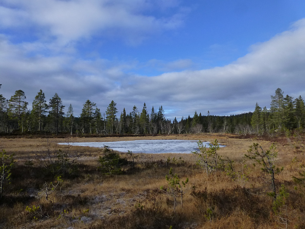 En av tjerna på Engelvollstadmyrene. Fint å gå her i dag når det er frost. 