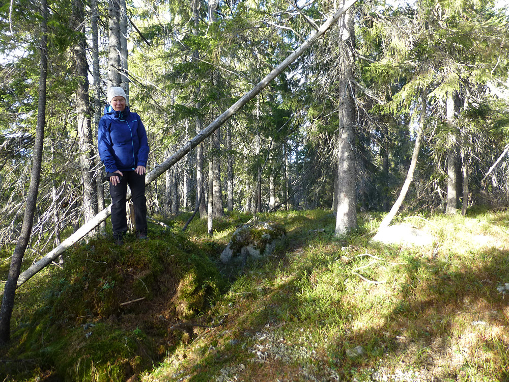 Liv på Bjønnestillinga