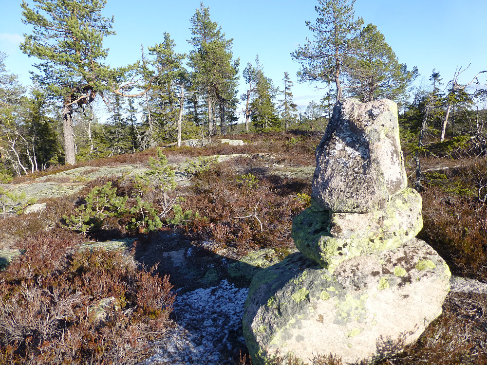 Varden på Sørøst for Bjørnekollen, Lier høyeste. 
