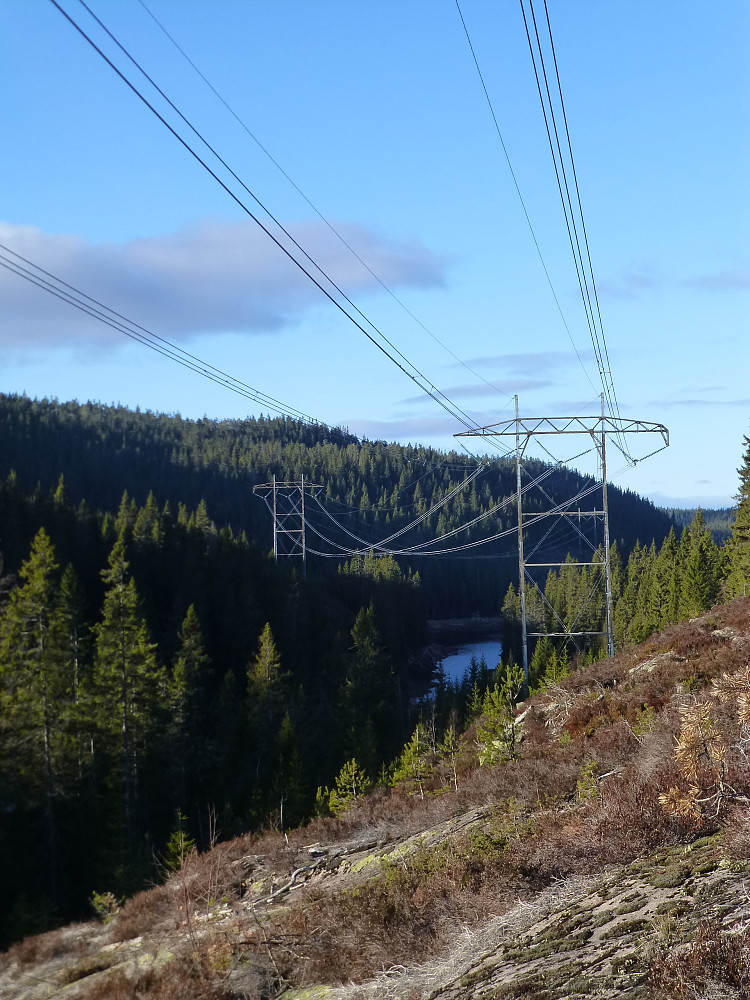 Ut av naturreservatet og da møter vi dette.
