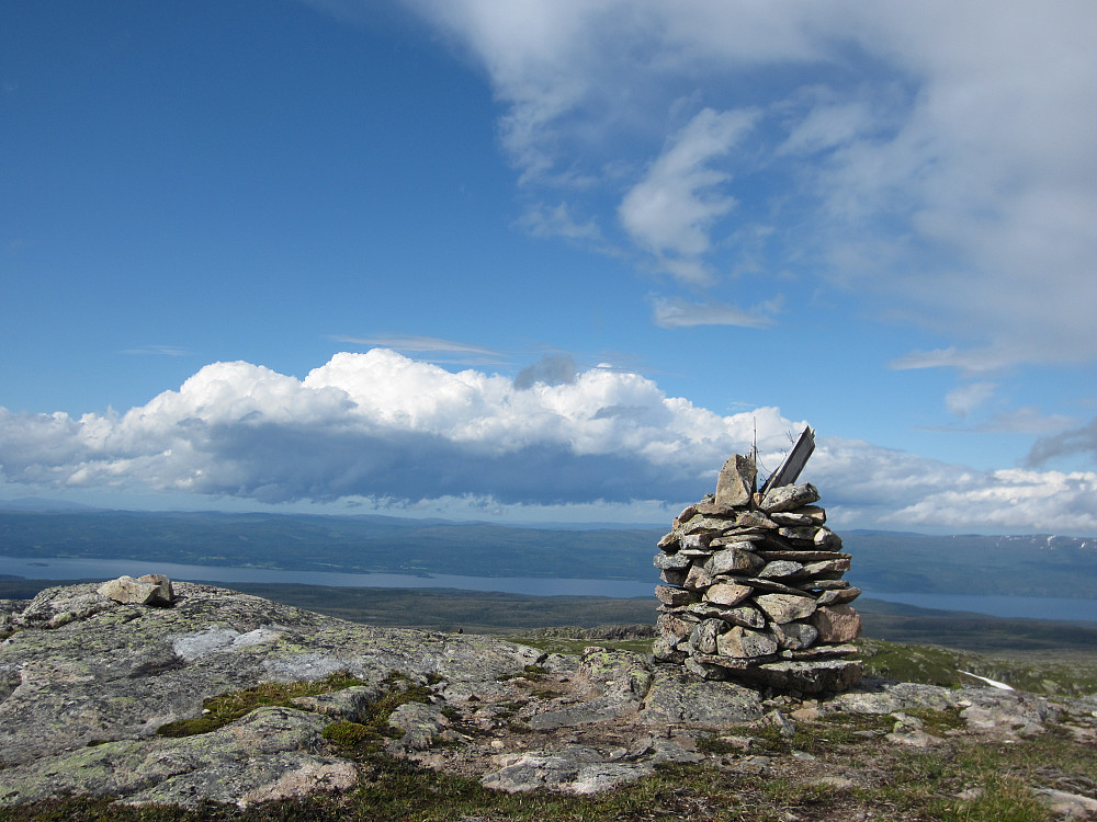 Toppvarden