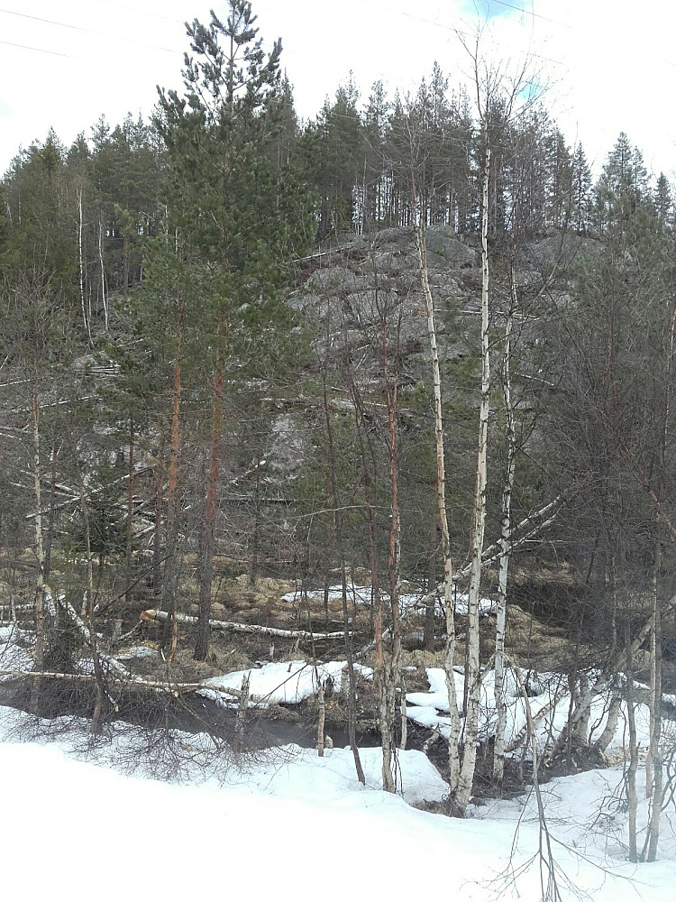 Nyfelte tre