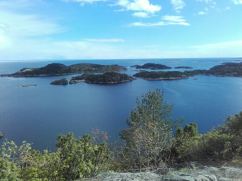 Utsikt fra Vardås