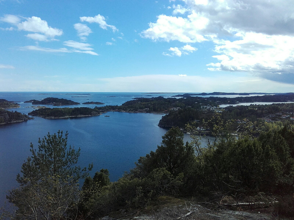 Utsikt fra Vardås