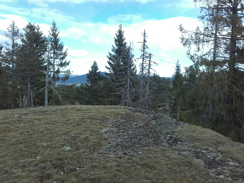 Toppunktet