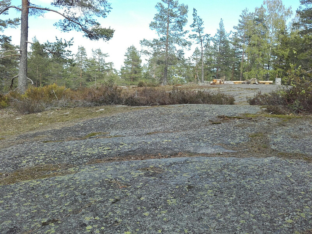 Tudalskulten