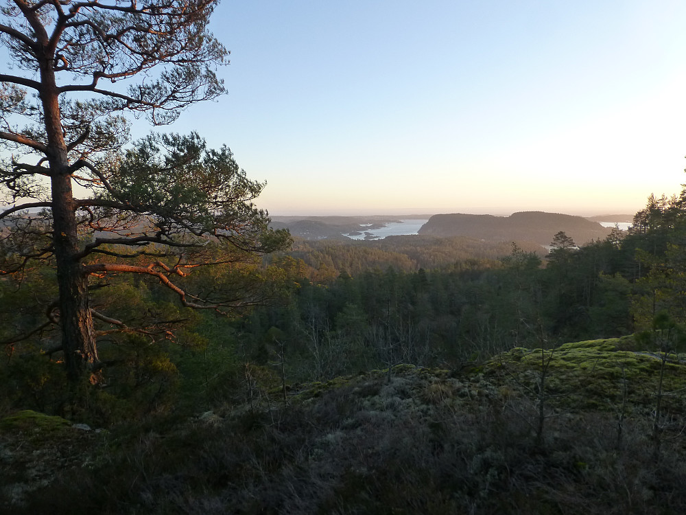 Utsikt mot Mørjefjorden og Håøya