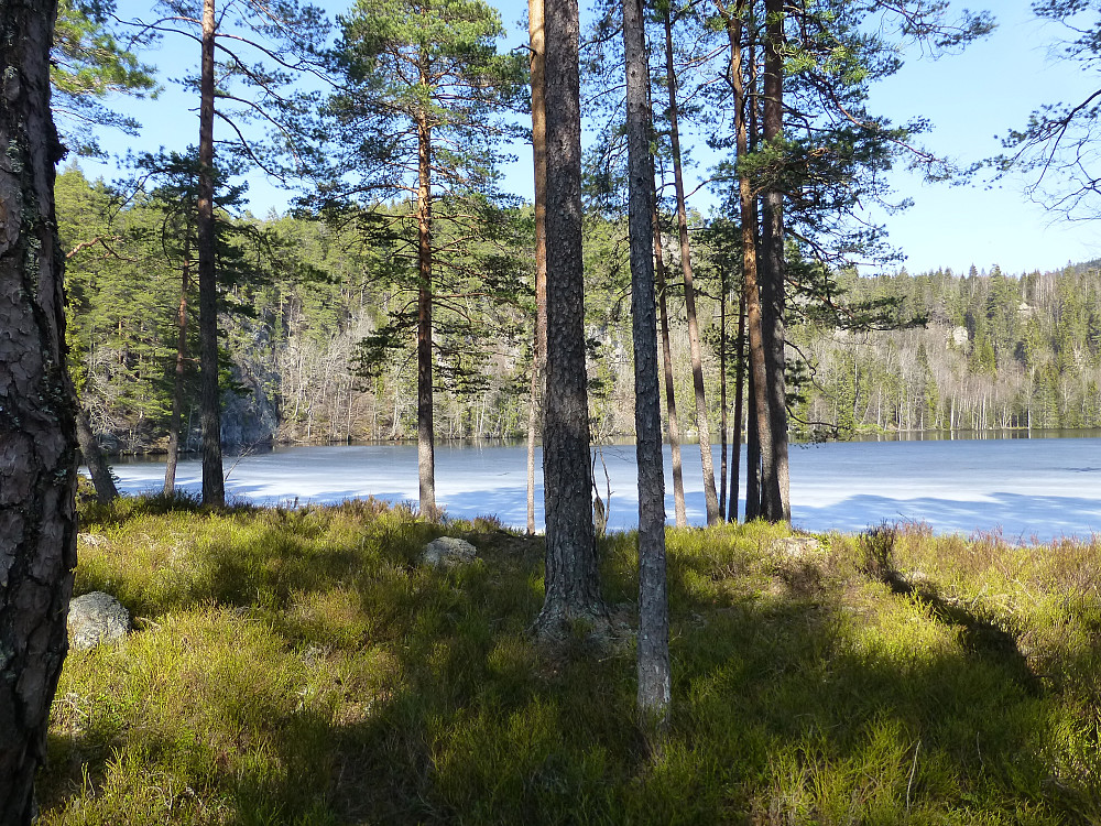 Åstjenn