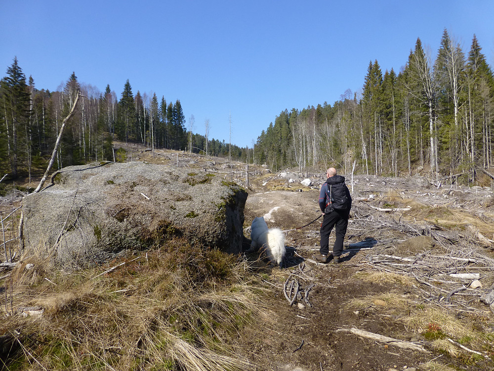 Hogstfeltet etter Åstjenn, ikke pent, men greit å gå