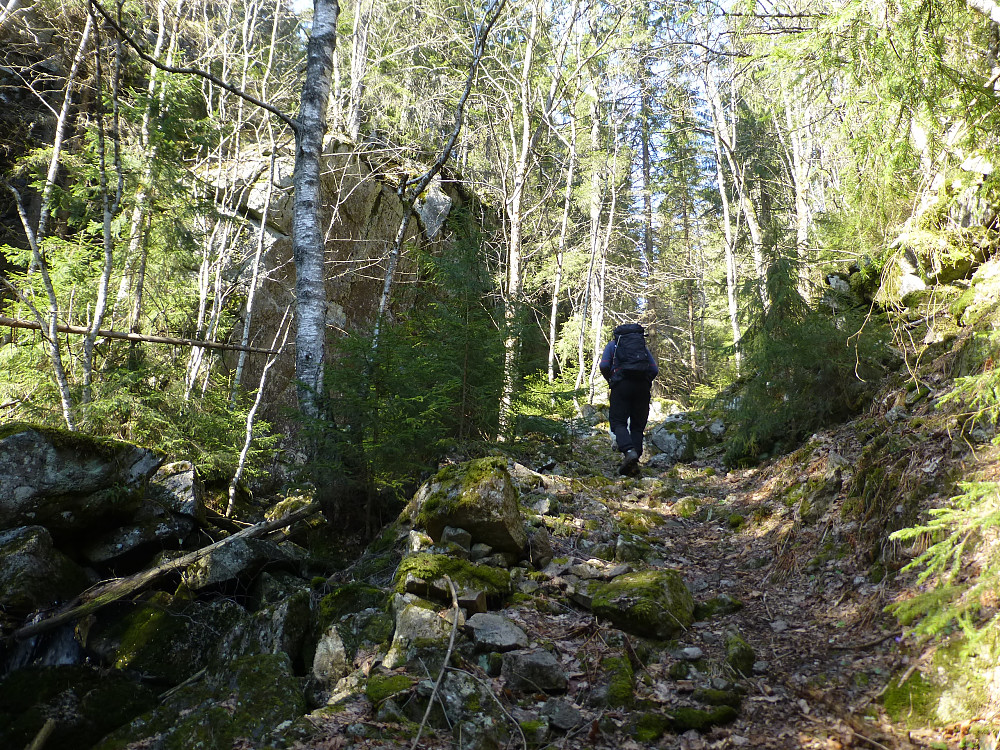 Gammel ferdselsåre dette i vill og vakker natur