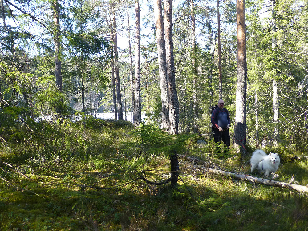 En rast i lyngen  etter Lystjenn