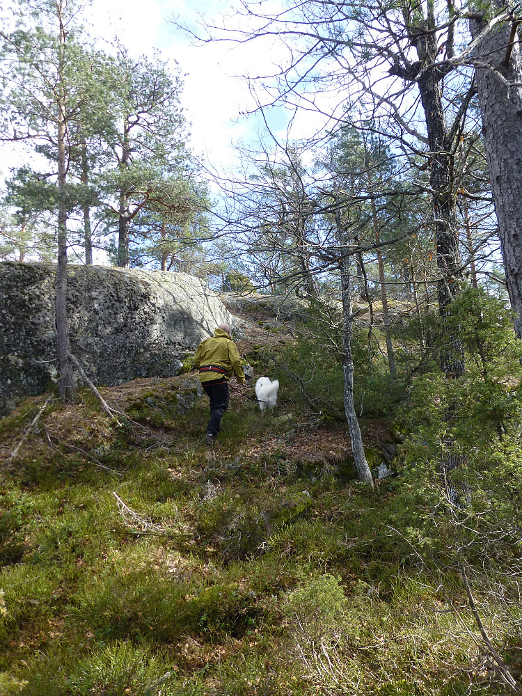 Siste del av lia opp mot toppen
