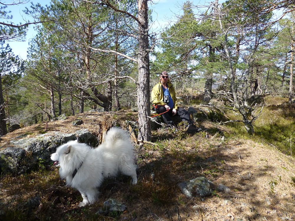 Rast på toppen