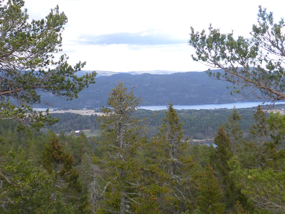 Utsikt fra toppen mot Norsjø