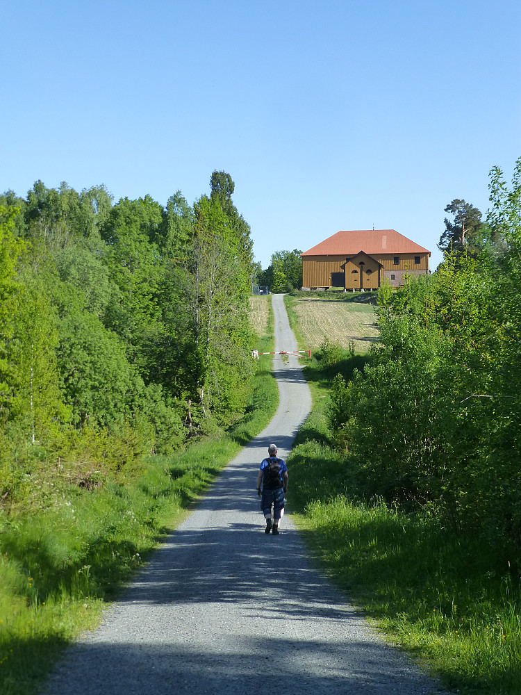 Første del av grusveien fra Ulefos Hovedgaard. Bildet tatt på hjemtur