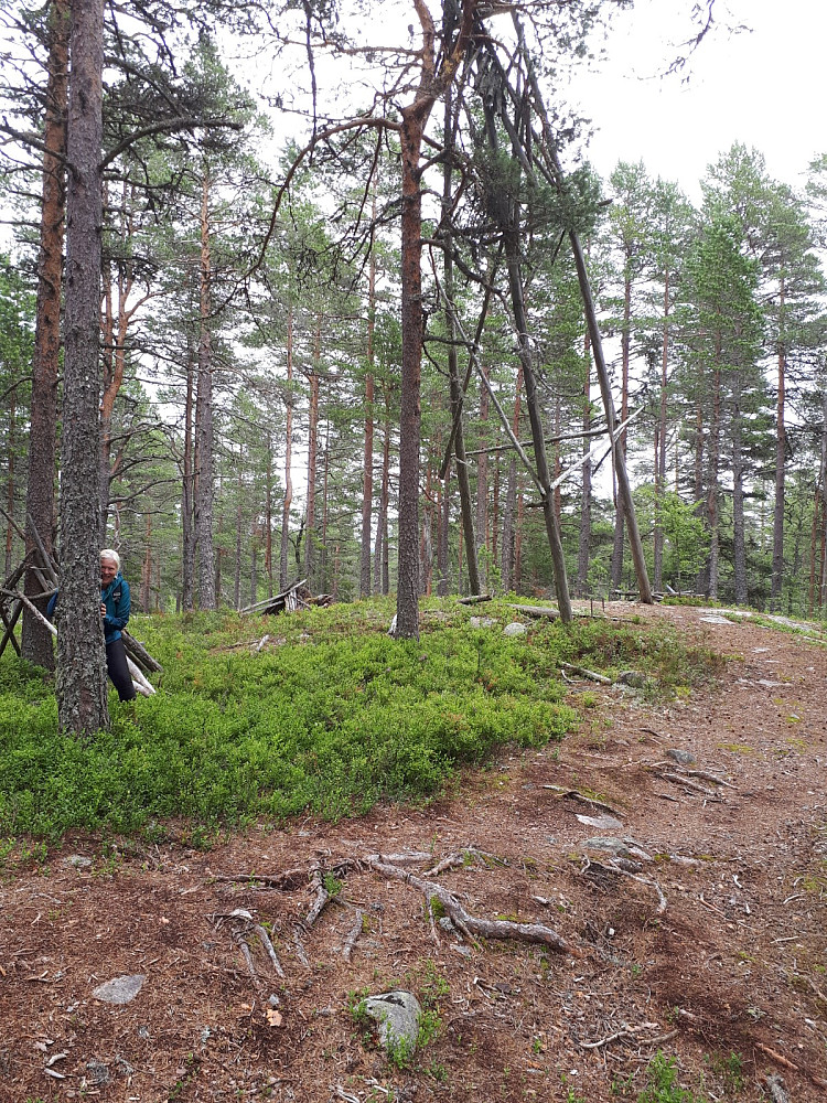 Toppområdet med ei hulder som lusker rundt. Et falleferdig tårn som henger i ei furu, på høytid å få lagt ned. Ikke bra hvis barn begynner å klatre på dette