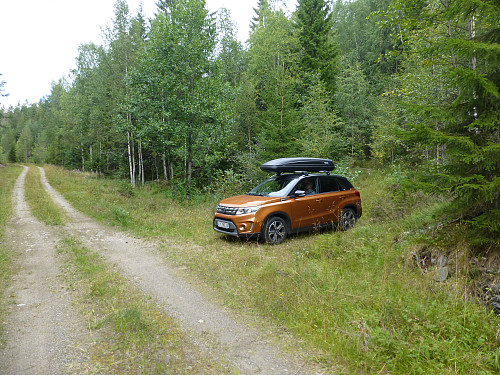 Parkering. Gammel og gjengrodd traktorveg starter bak bilen