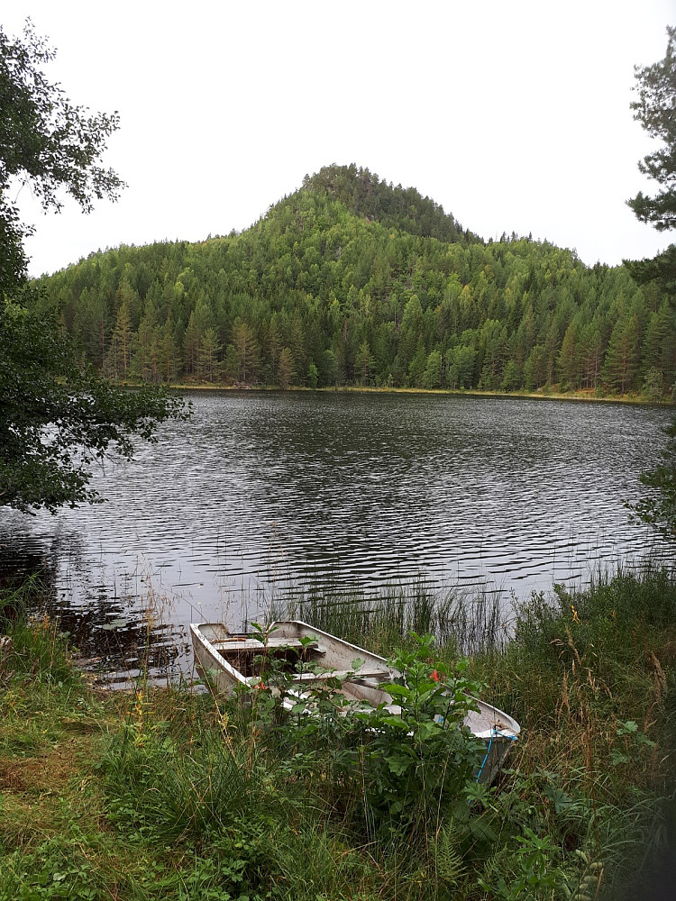 Einarknatten ved Butjenn