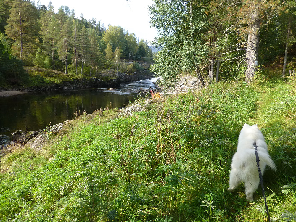 Vi nærmer oss Rohølhaugen og øverste fossen