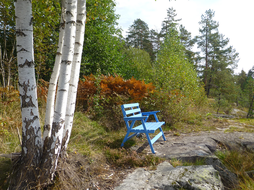 Den blå krakken, fint hvilested