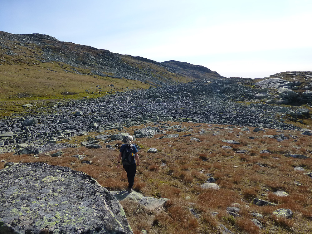 Fint å gå her oppe. Vi måtte litt ned og over litt stein før i vi fortsatte bortover lia.