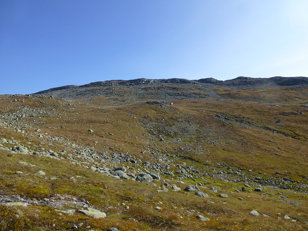 Oppå der en plass er toppen, men ikke mulig å se toppen. Fin dal å gå inn.