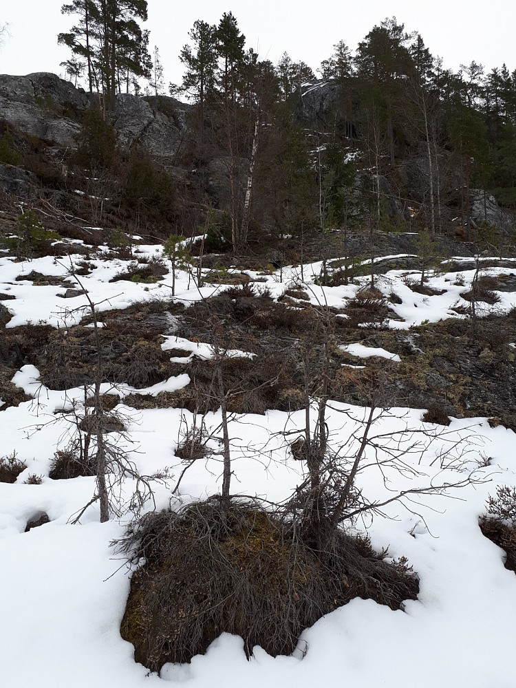 Toppen i sikte