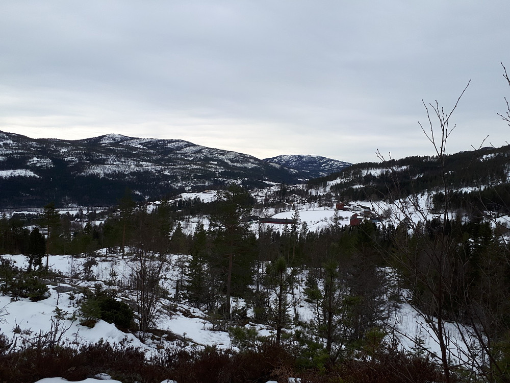 Åsheimgrendi med Årnotra i bakgrunn