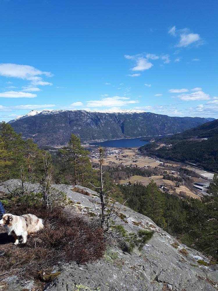 Utsikt fra toppen