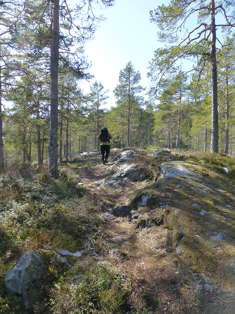 Fint å gå i toppområdet på Køddefjell